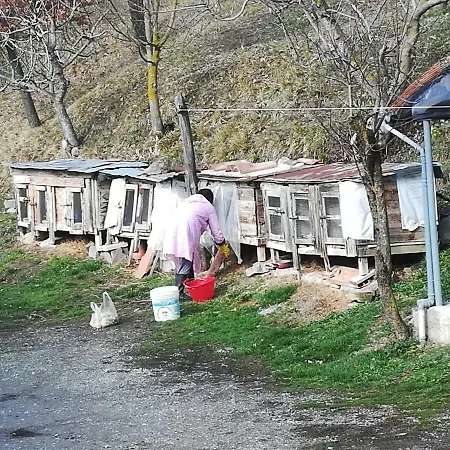 B&B Agricola Tre Rii Sidreria