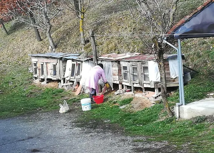 Panzió Agricola Tre Rii Sidreria